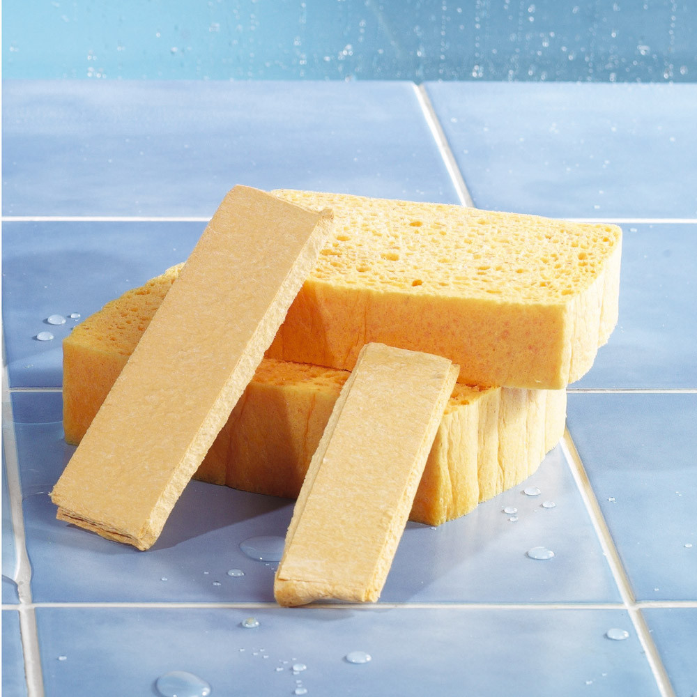 10 éponges Spontex Azella comprimées n°6