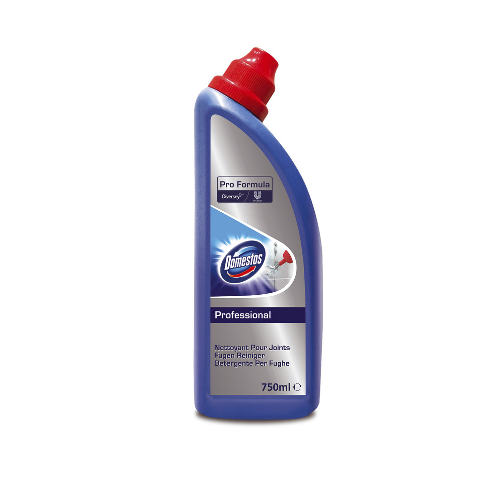 Nettoyant WC avec javel spécial joints Domestos 750 ml
