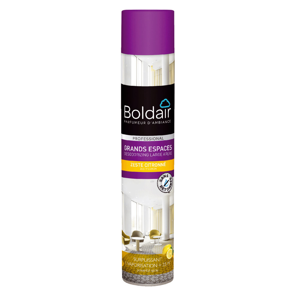 Désodorisant Boldair grands espaces destructeur d'odeurs 750 ml