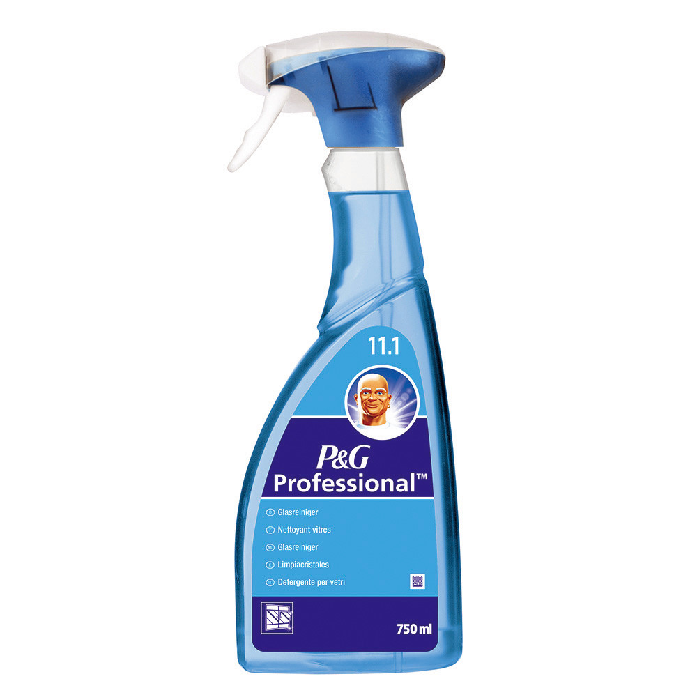 Nettoyant vitres Mr Propre Professional 750 ml