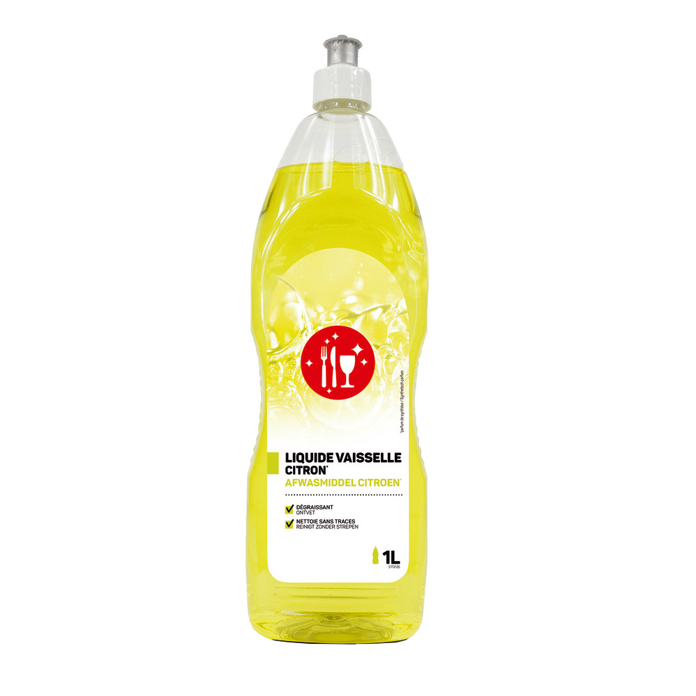 Liquide vaisselle économique concentré Push Pull citron 1 L