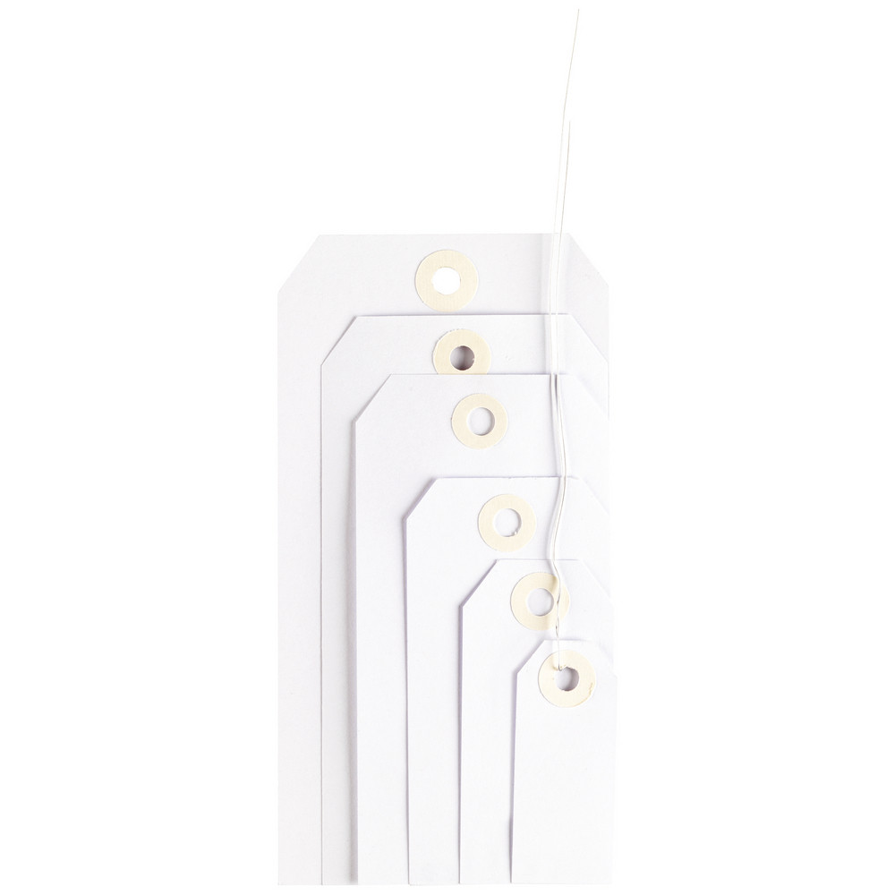 1000 étiquettes américaines 100 x 51 mm avec attache