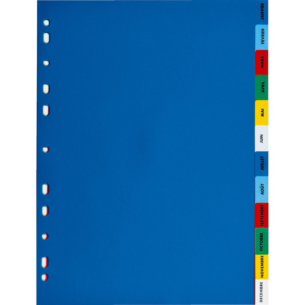 2 x 12 intercalaires mensuels Elba format A4 polypro 12/100e