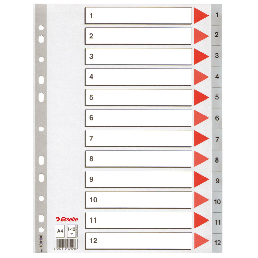 2 jeux d' intercalaires 12 touches imprimées numériques coloris gris Esselte en polypro format A4
