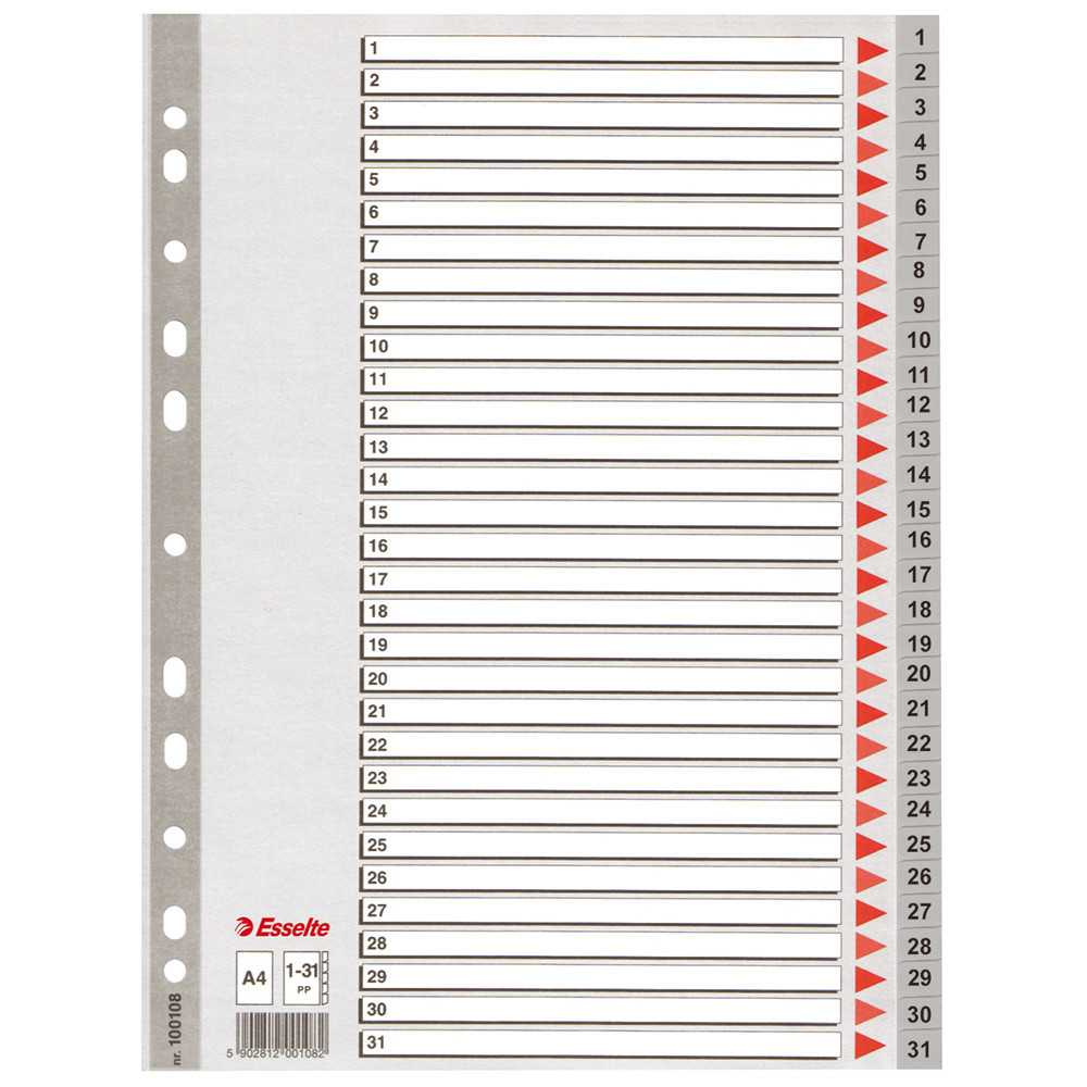 2 jeux d' intercalaires 31 touches imprimées numériques coloris gris Esselte en polypro format A4