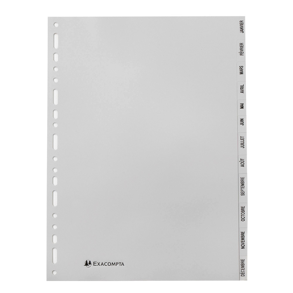 2 x 12 intercalaires mensuels Exacompta format A4 polypro 12/100e