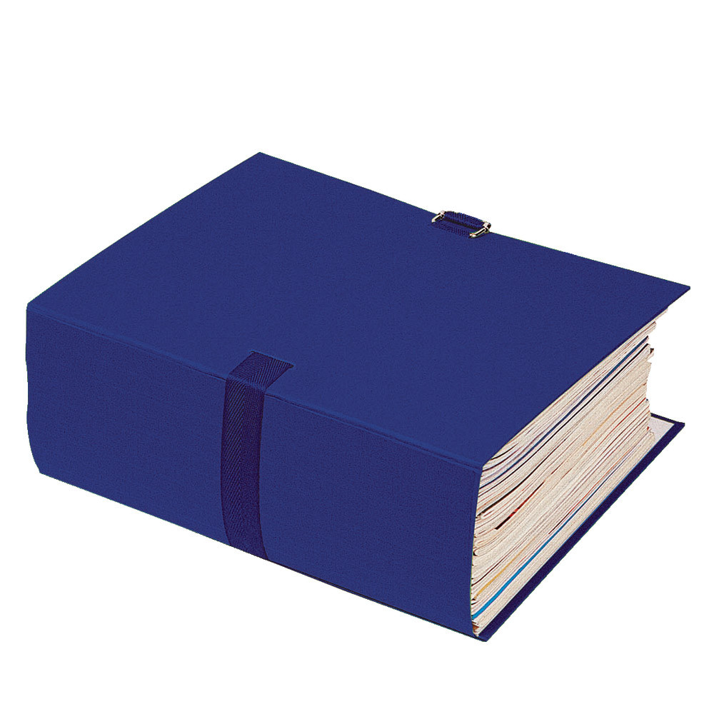 10 chemises extensibles à boucle Exacompta coloris Marine