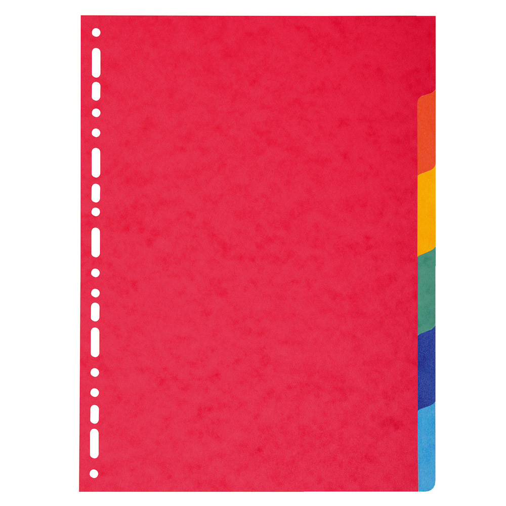 2 x 6 intercalaires Exacompta touches neutres format A4 carte lustrée 220 g