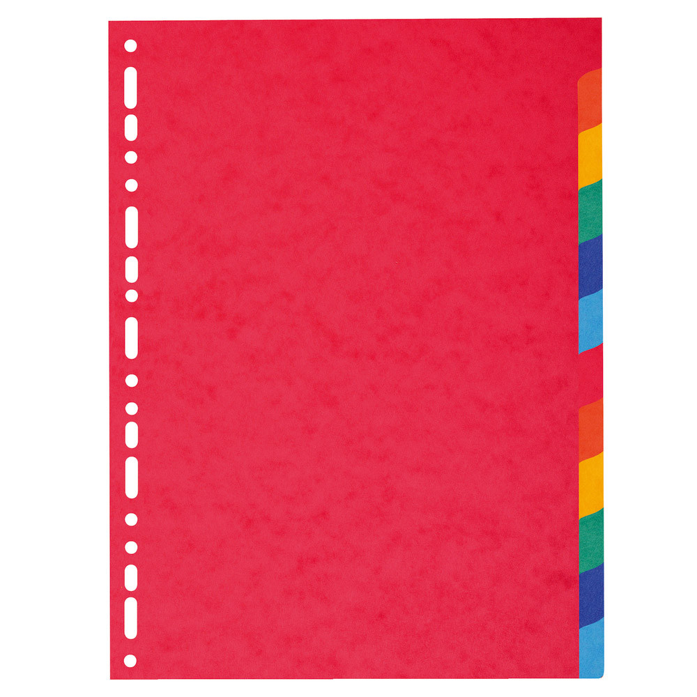 2 x 12 intercalaires Exacompta touches neutres format A4 carte lustrée 220 g