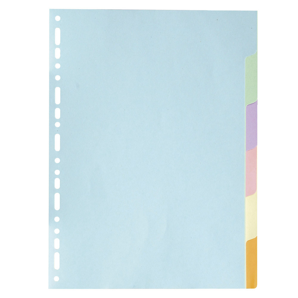 2 x 6 intercalaires Exacompta touches neutres format A4 carte recyclée 180 g