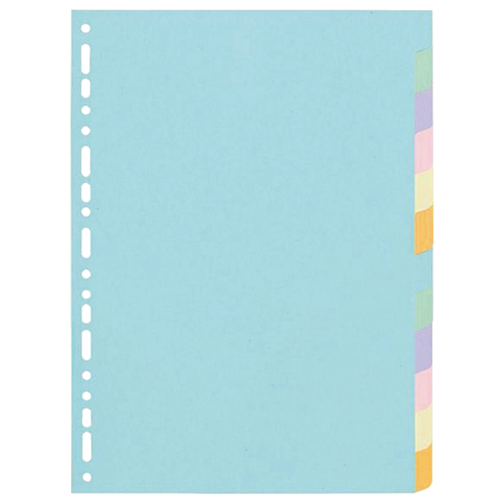 2 x 12 intercalaires Exacompta touches neutres format A4 carte recyclée 180 g