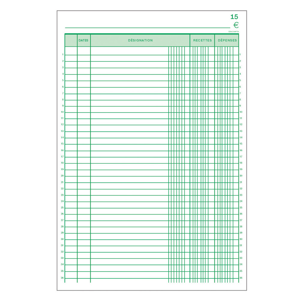 5 manifolds autocopiants pré-imprimés recettes- dépenses dupli 29,7 x 21 Exacompta, le lot