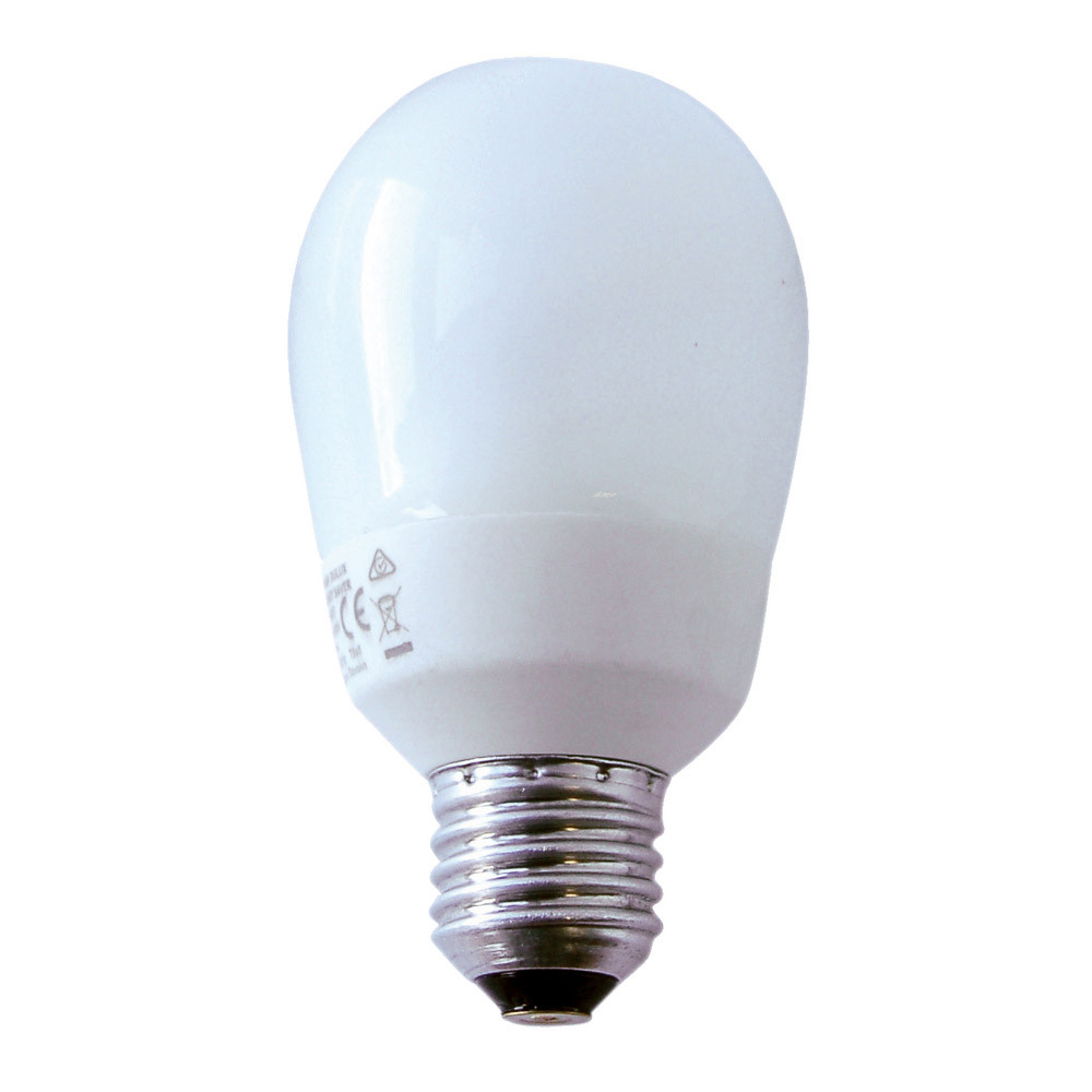Ampoule fluocompacte Energie Saver 15W E27