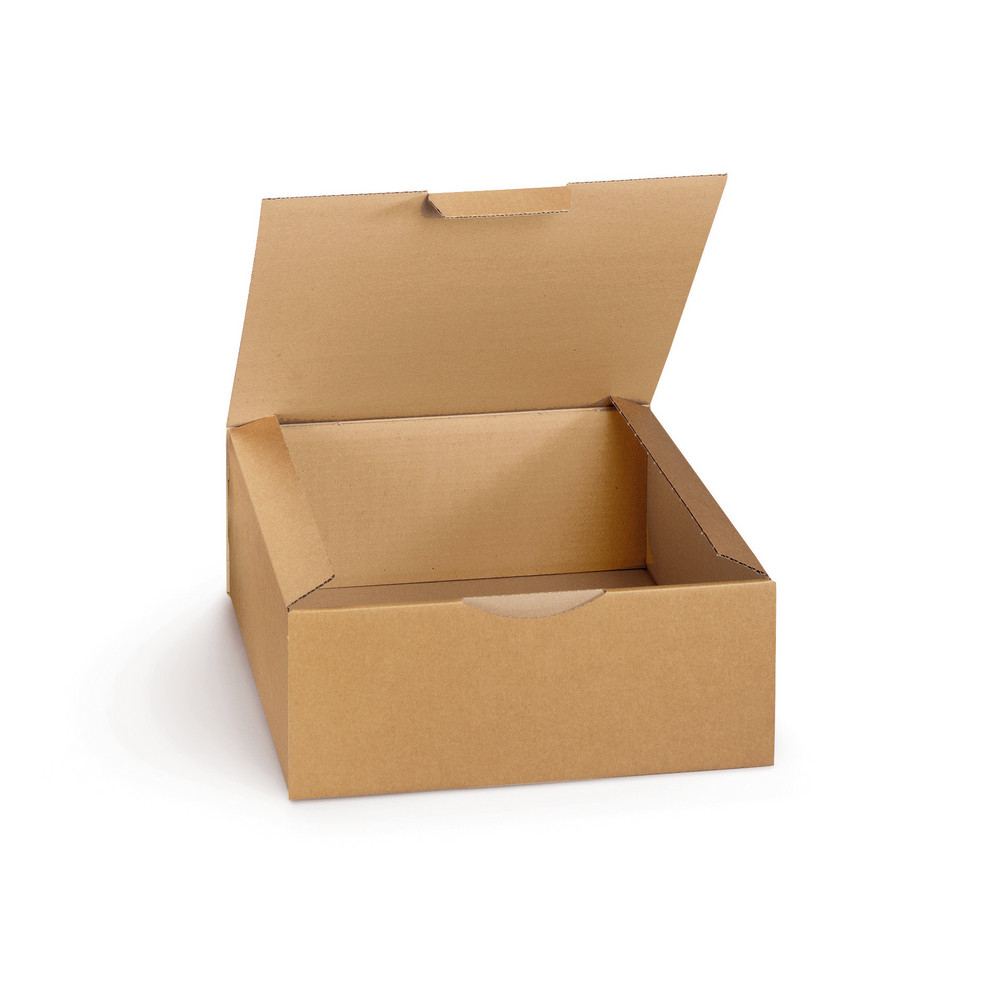 Boîte carton brune d'expédition RAJAPOST 33x30x13 cm