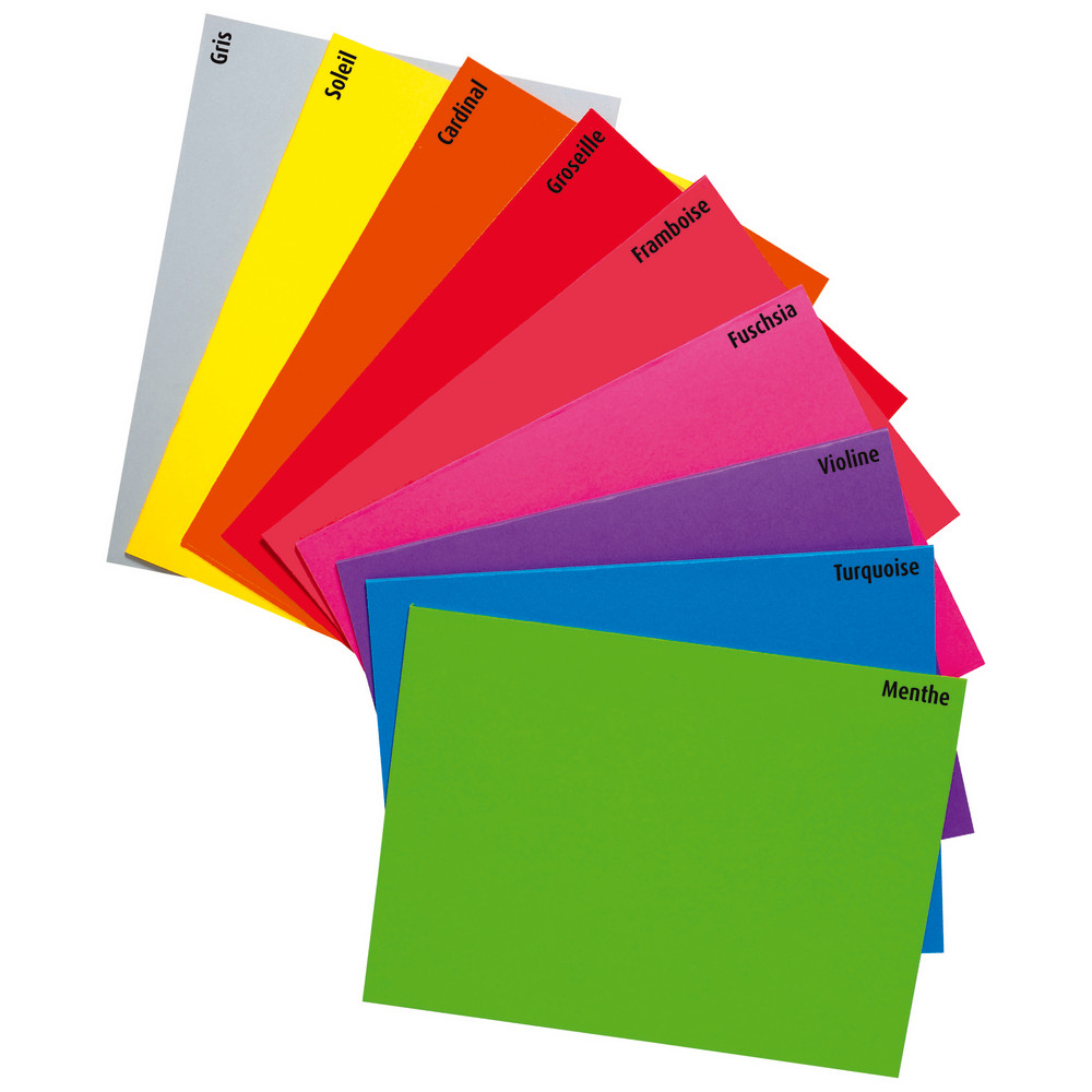 100 chemises dossiers Raja, 220G, coloris assortis vifs, 24 x 32 cm