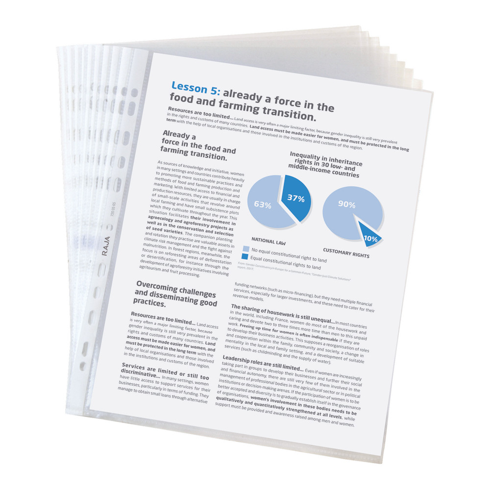 100 pochettes perforées A4 Raja, grainées, 5/100e, polypropylène, transparentes