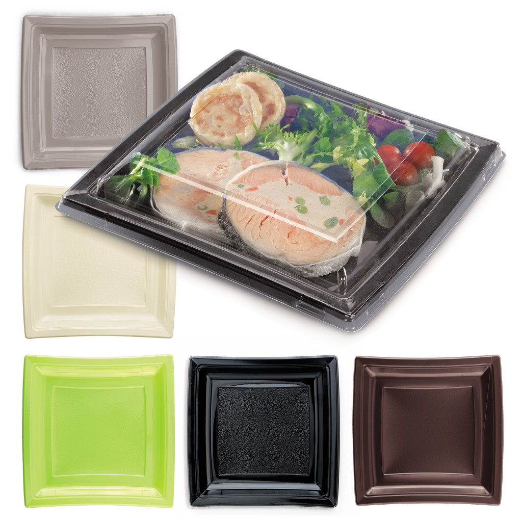 Assiette carrée couleur grand modèle 
