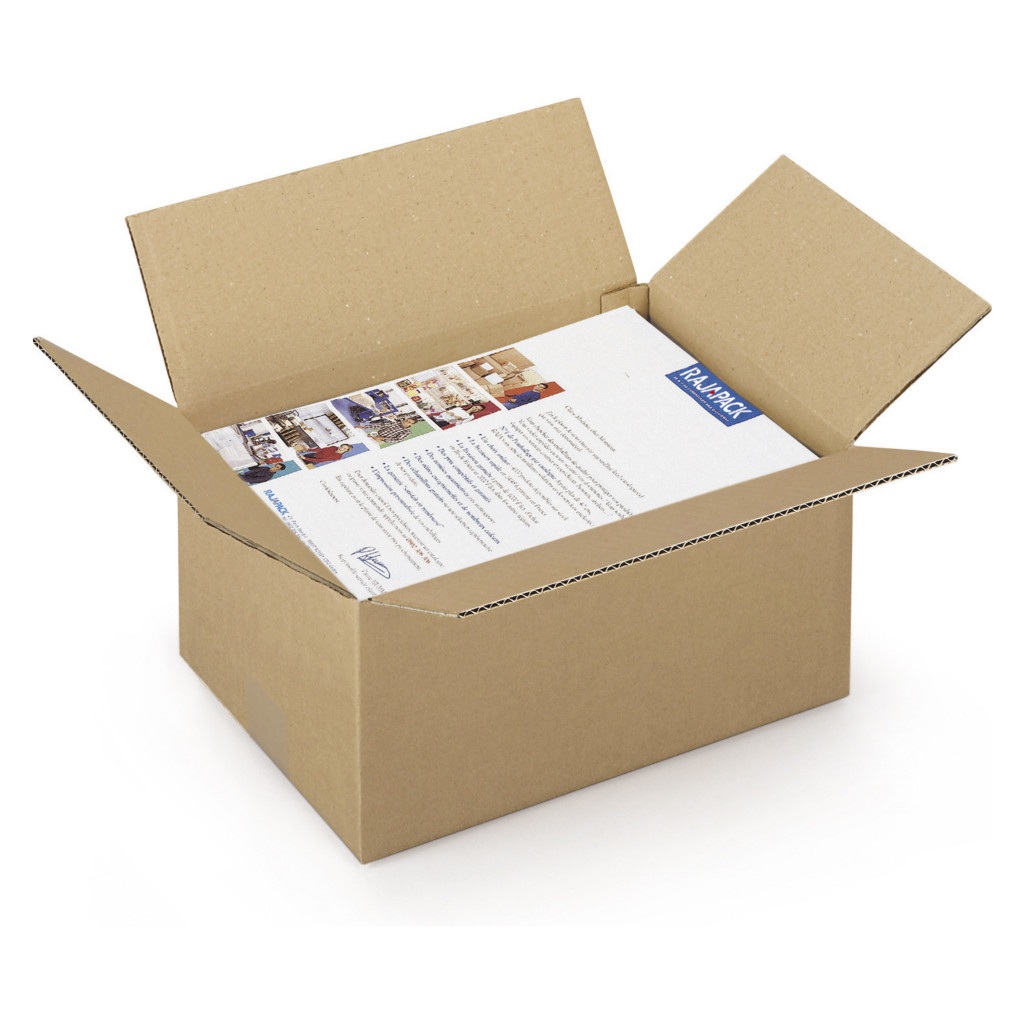 Caisse carton Rajabox brune simple cannelure de 30 à 40 cm