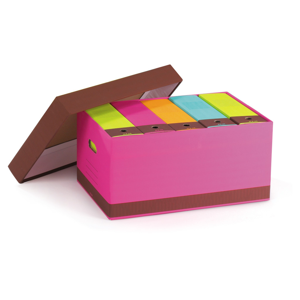 Caisse multi-usage couleurs RAJA