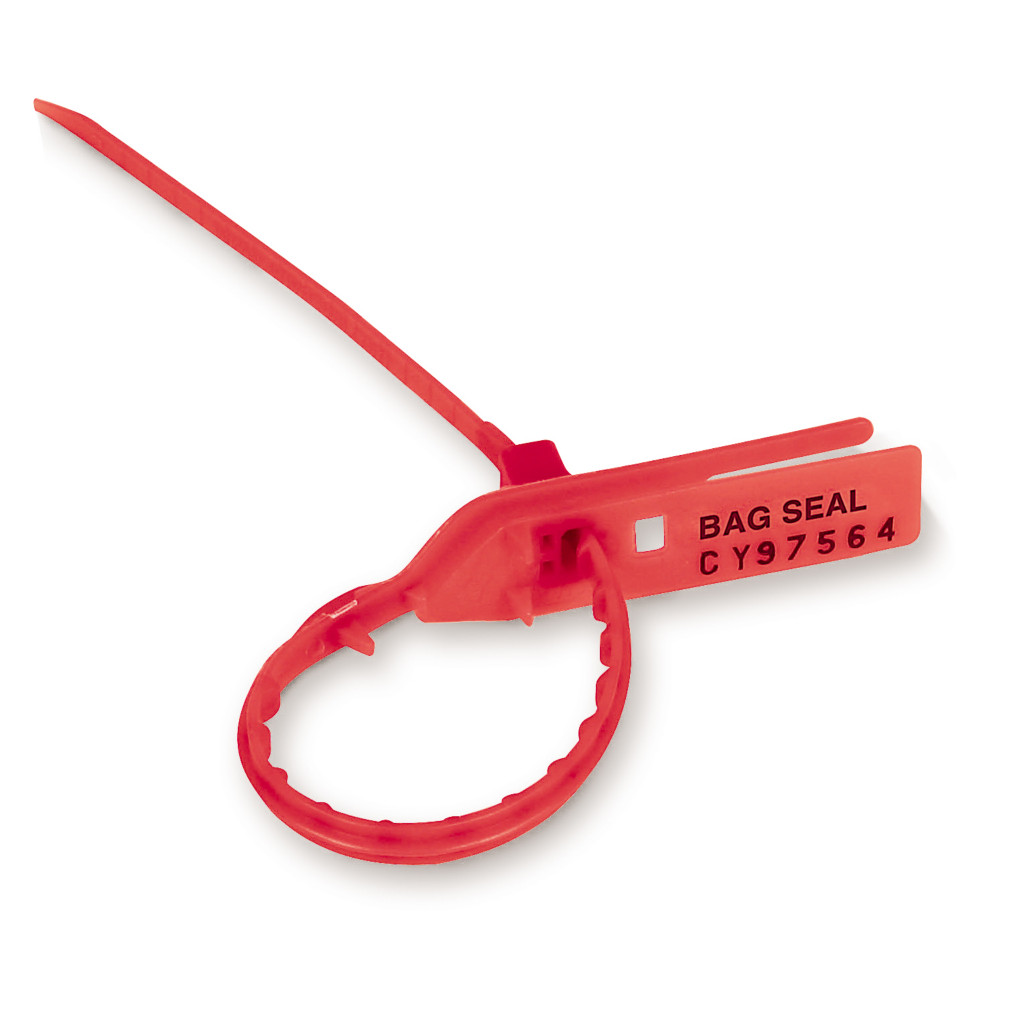 Bag security seals