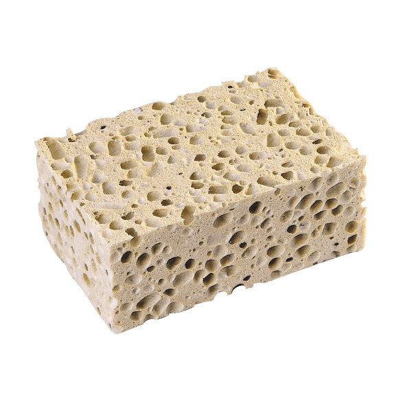 Eponge 