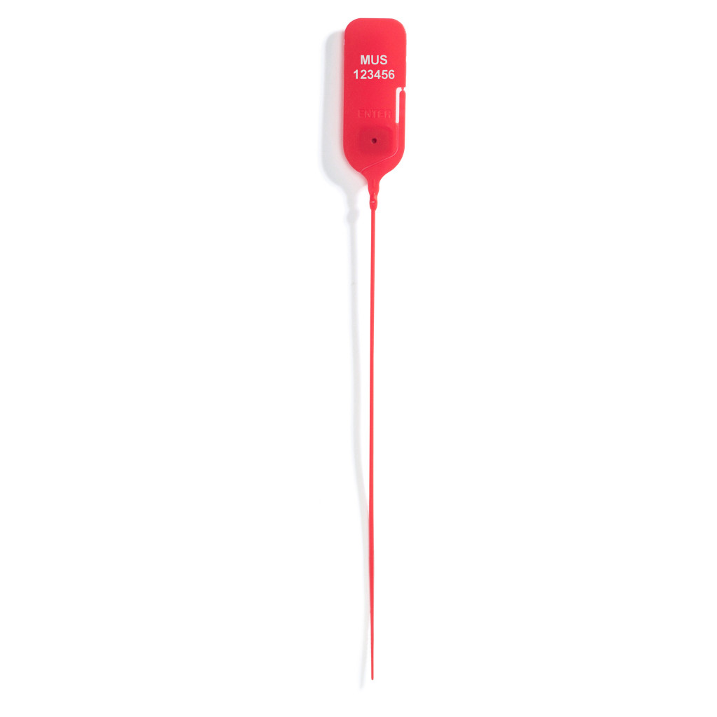 Scellé à tige fine lisse Ø 2,2 mm