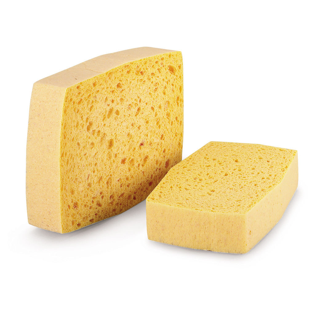 Schwämme