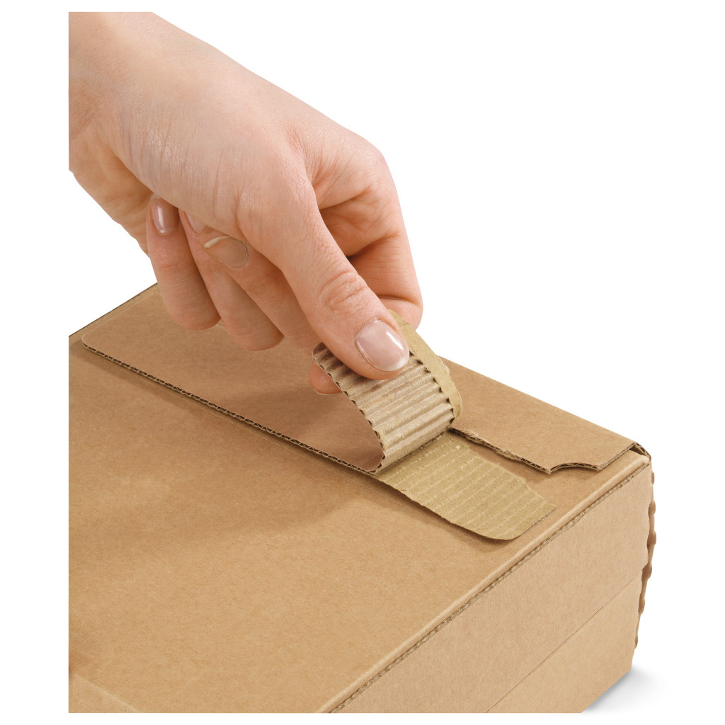 Rigipack® Karton-Versandtaschen Maxi
