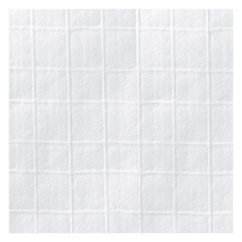 Pochette Rajafil en kraft armé blanc