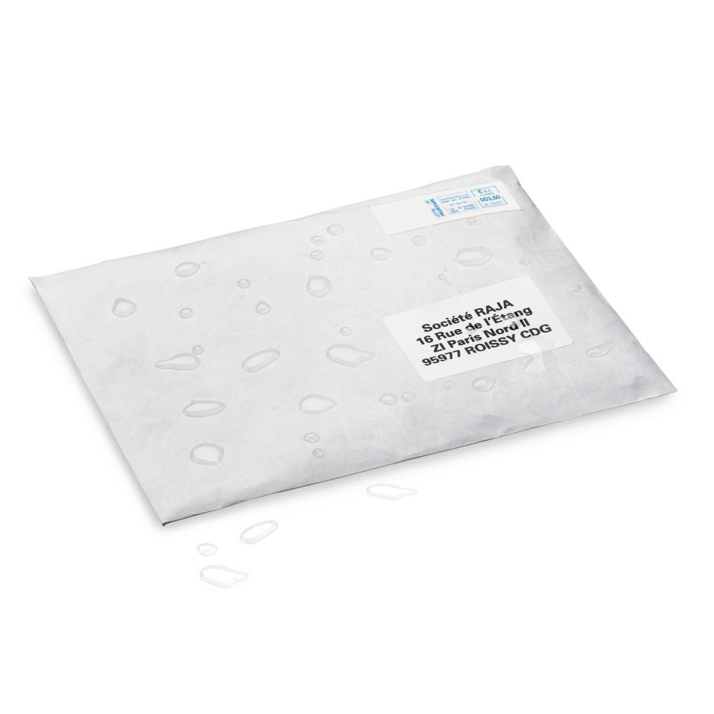 Standard Tyvek envelopes