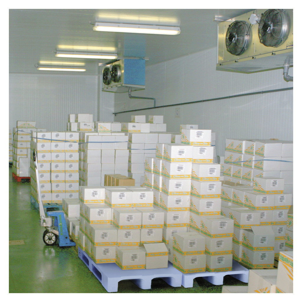 Palette plastique complètement lisse