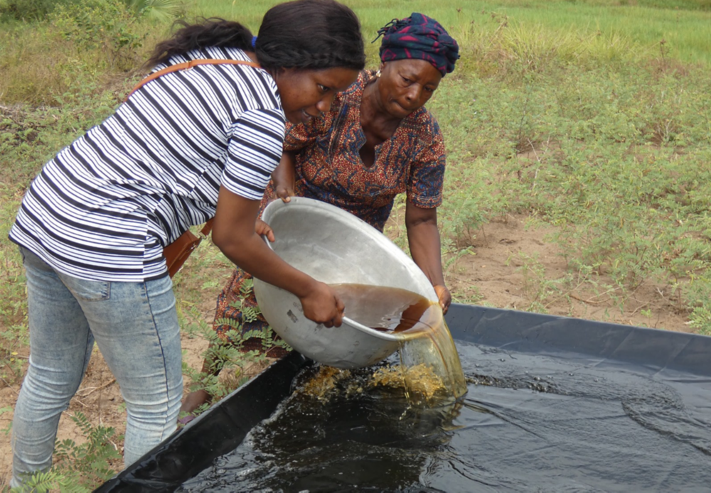Association Humanitaire pour l’Afrique (AHPA)