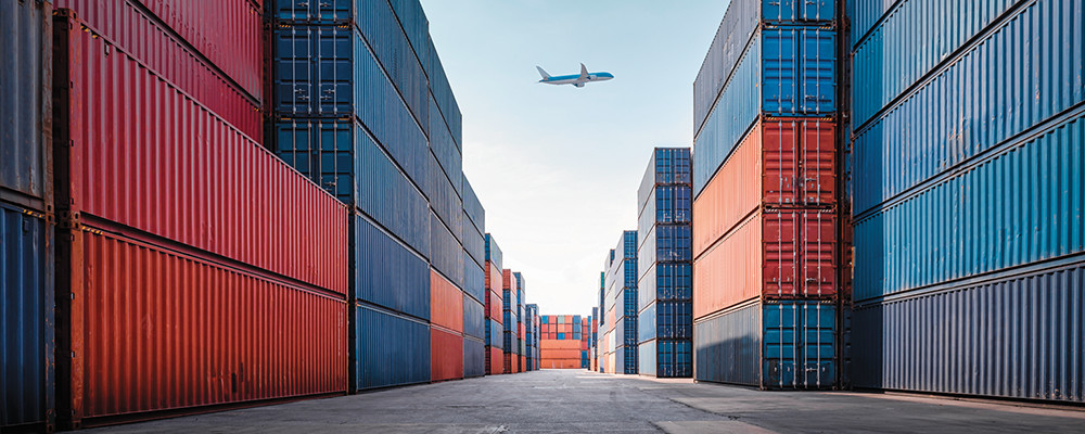 Especial Exportación