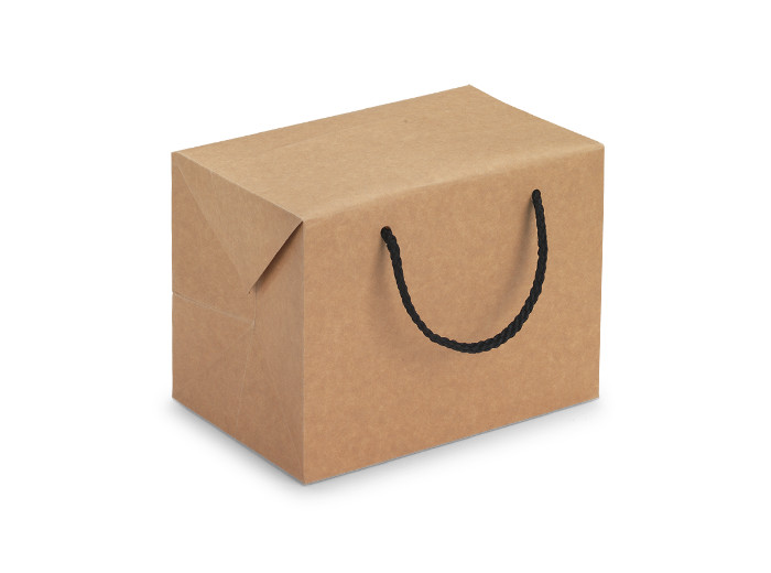 Sacs boîte kraft
