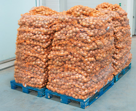 Filet tissé cast machine