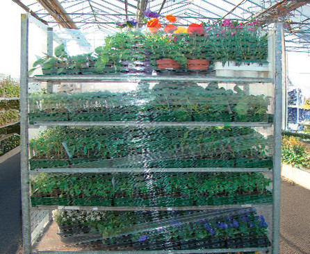 Film macroperforé machine