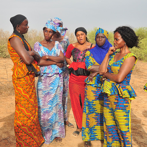 Programme d’actions Femmes et Environnement