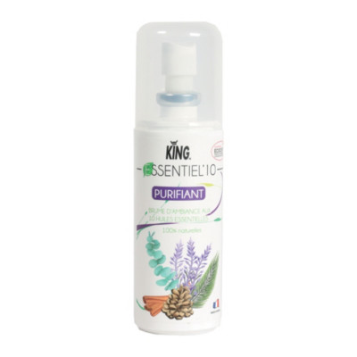 Désodorisant assainissant aux huiles essentielles Essentiel'10 100 ml