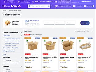 Aperçu du site e-commerce
