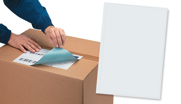 Double cannelure renforcée