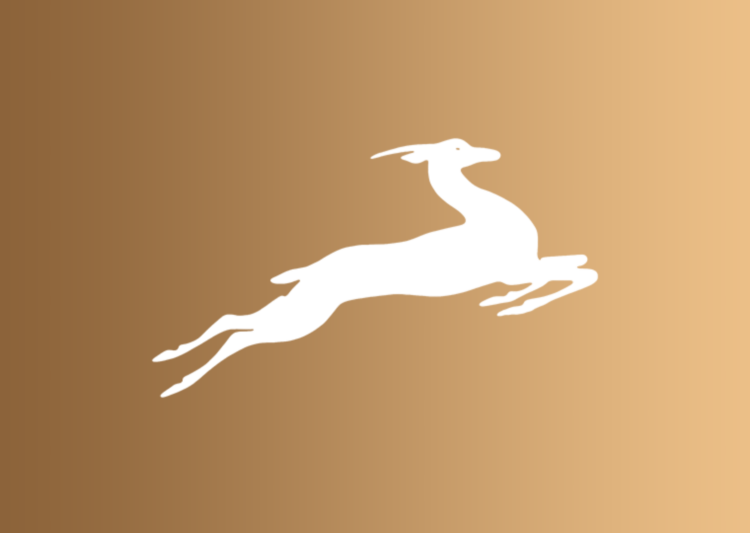 RAJAPACK empresa gacela