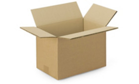 Cartons standards