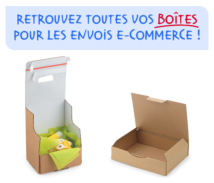 Sacs Et Boîtes De Vente D'artisanat Emballage De Cadeau De Magasin De  Composition De Sac Boîte De Papier De Chaussures Divers Achat De Magasin Ou  De Magasin Ou Ensemble De Vecteur De