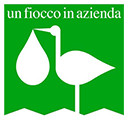 FIOCCO IN AZIENDA