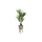 Plantes & Pots