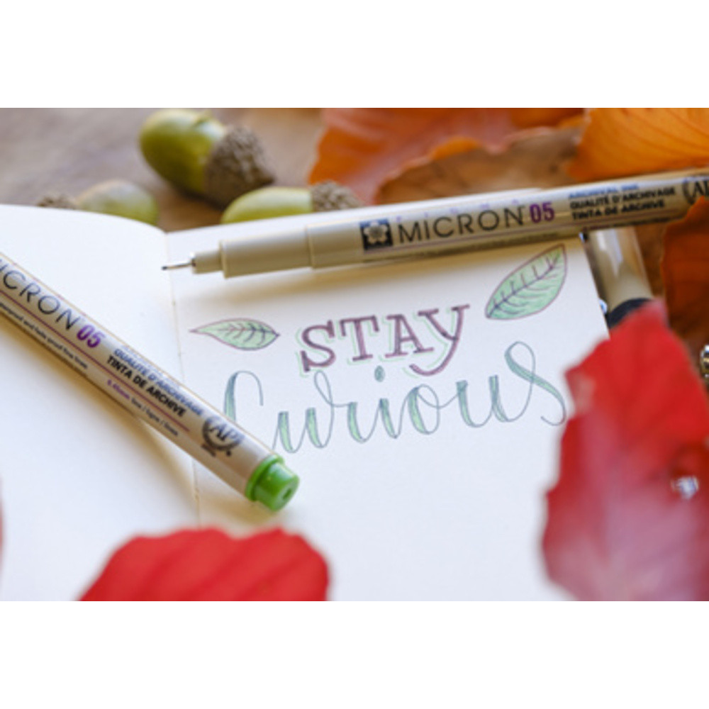 Stylo Sakura Pigma Micron Set Erdtöne 0 45mm 6Stücks 6x - vue 2