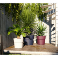 Dcoration du jardin