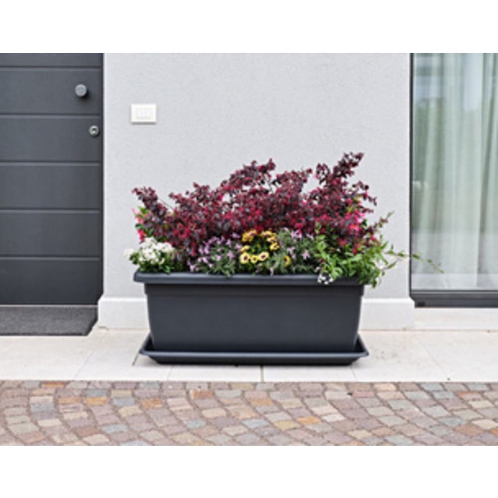 TERA Jardinire 'Tikal', largeur: 620 mm, anthracite