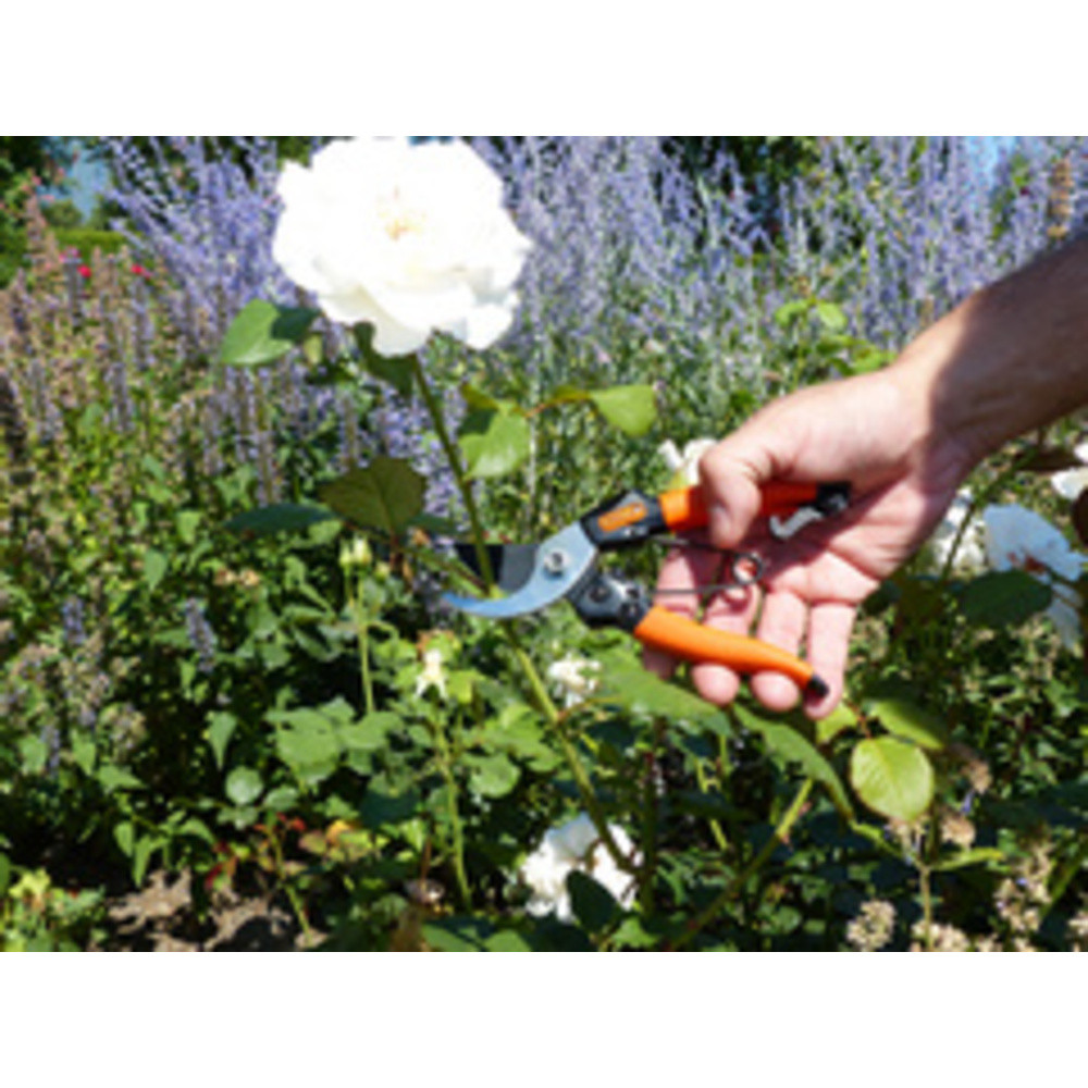 GARTEN PRIMUS Scateur de jardin pour dames, longueur: 178mm