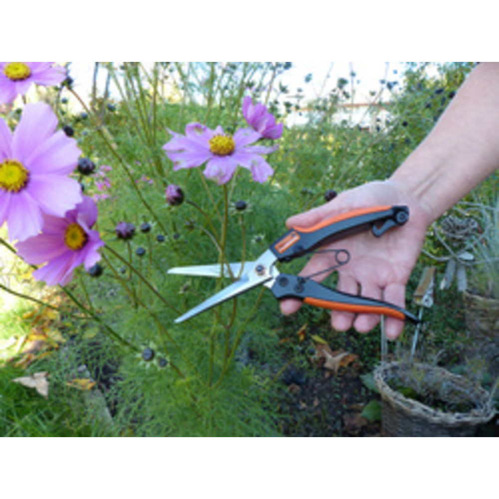 GARTEN PRIMUS Ciseaux  plantes vivaces &  herbes